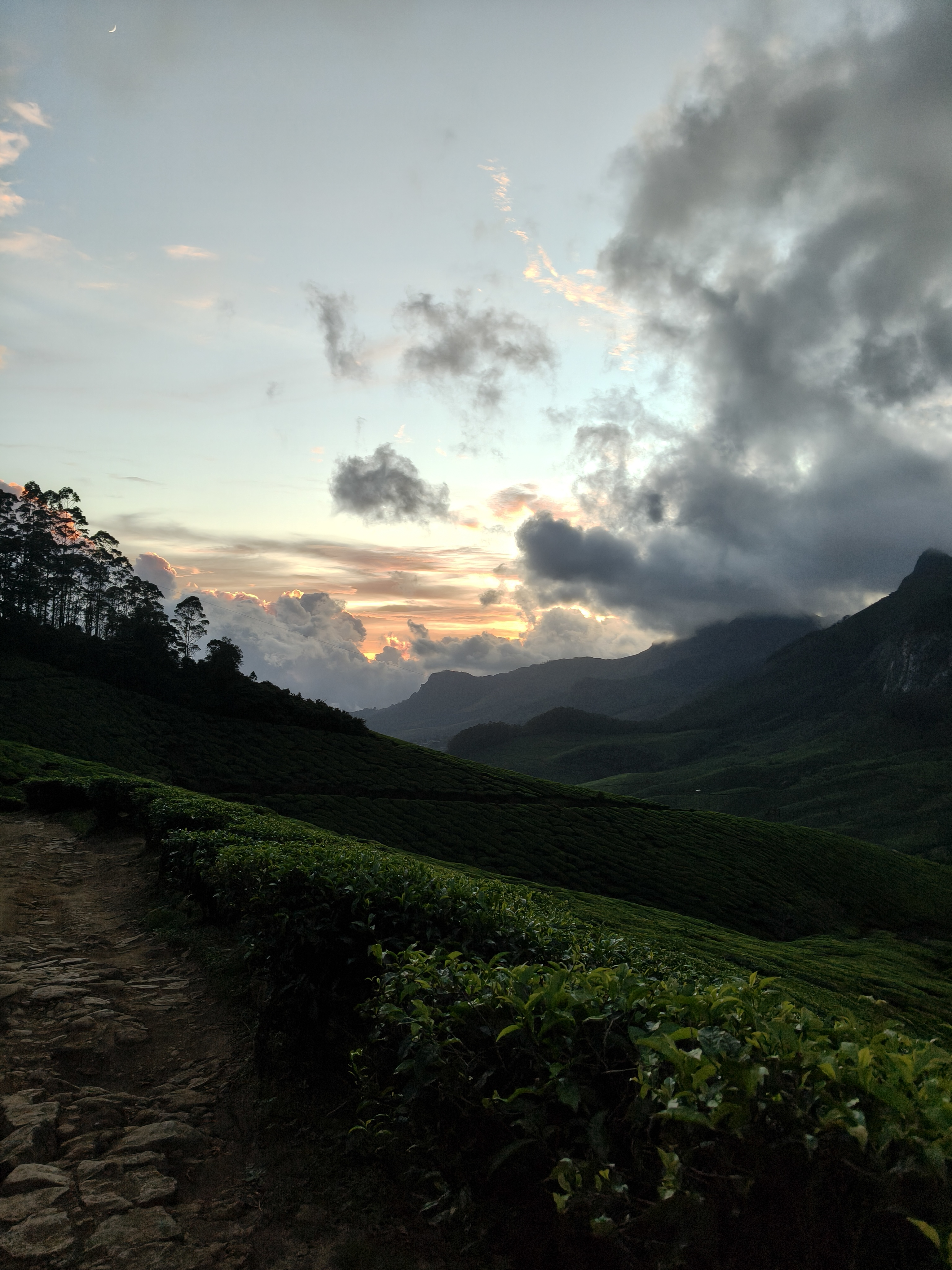 Kolukkumalai sunrise walking trail with tea plantations and dramatic morning clouds